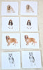 Imperfect Dogs Matching - Maitri Learning