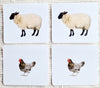 Imperfect Farm Animals (Adults) Matching - Maitri Learning