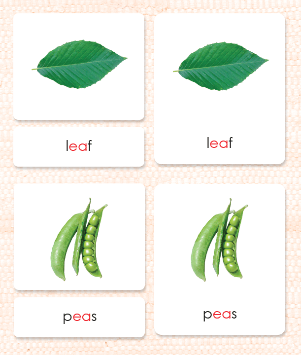 Phonetic Level 3 Set: Other Phonograms