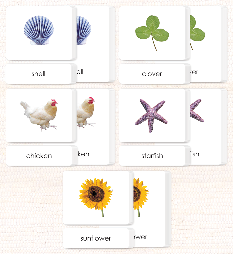 Phonetic Reading Card Set (Complete)