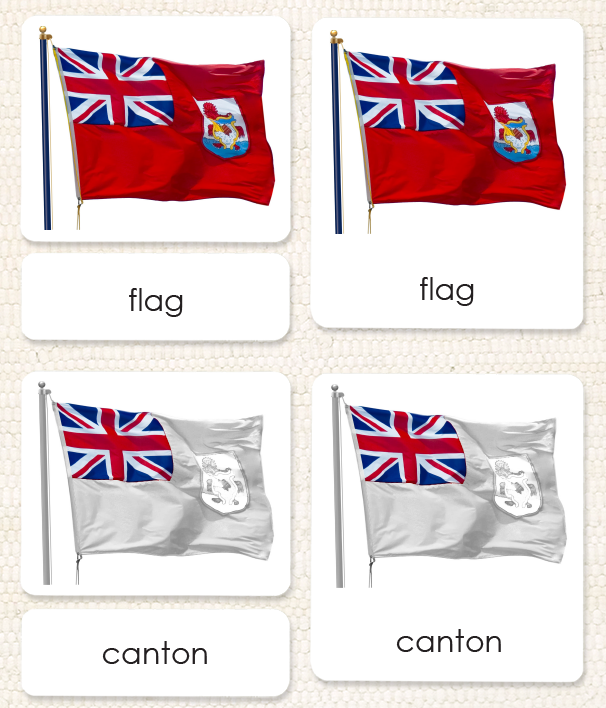 "Parts of" the Flag <p>3-Part Reading - Maitri Learning