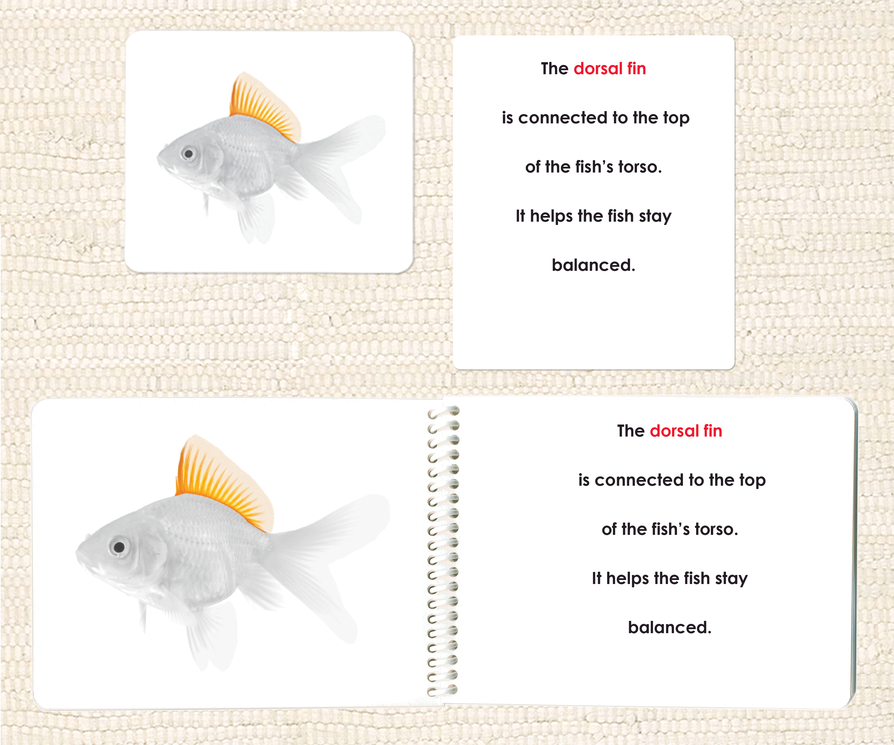 "Parts of" the Fish Book & Card Set - Maitri Learning