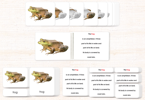 Vertebrates "Parts of" Book & Card Set/5