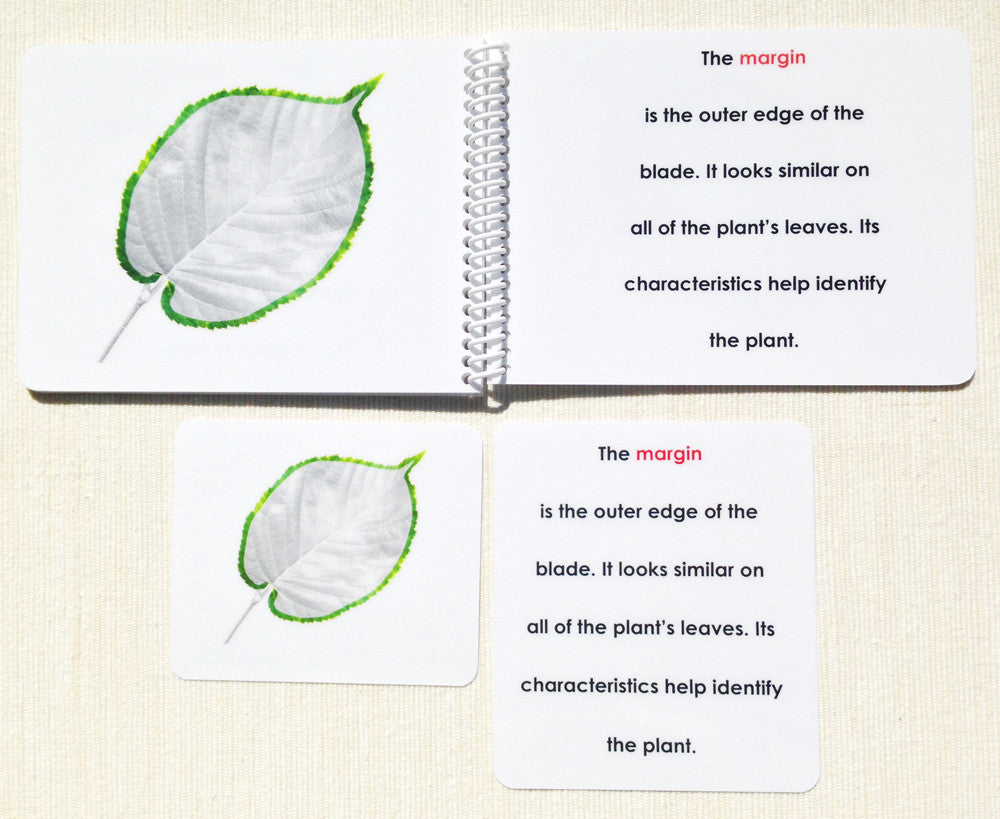 "Parts of" the Leaf Book & Card Set - Maitri Learning