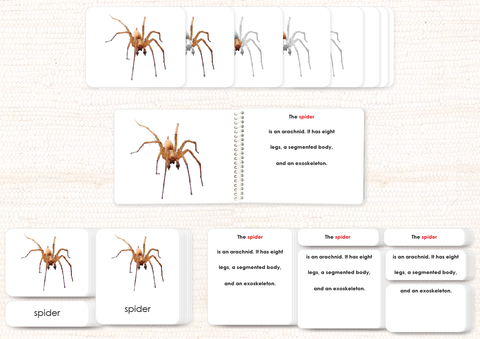 Invertebrates "Parts of" Book & Card Set/5