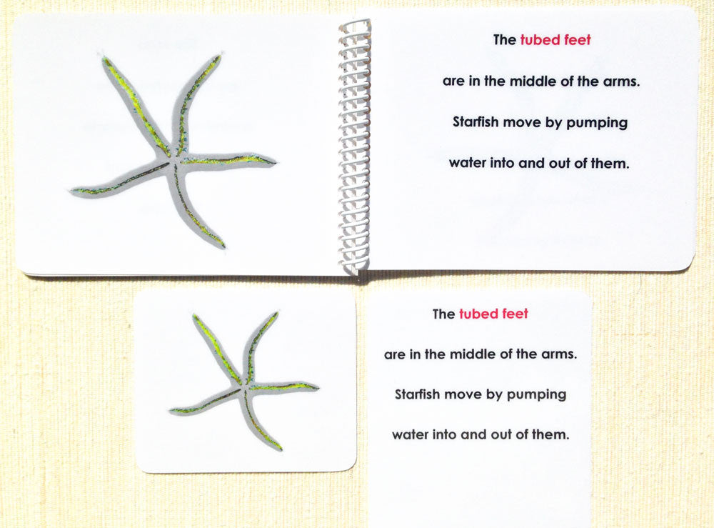 "Parts of" the Sea Star (Starfish) Book & Card Set - Maitri Learning