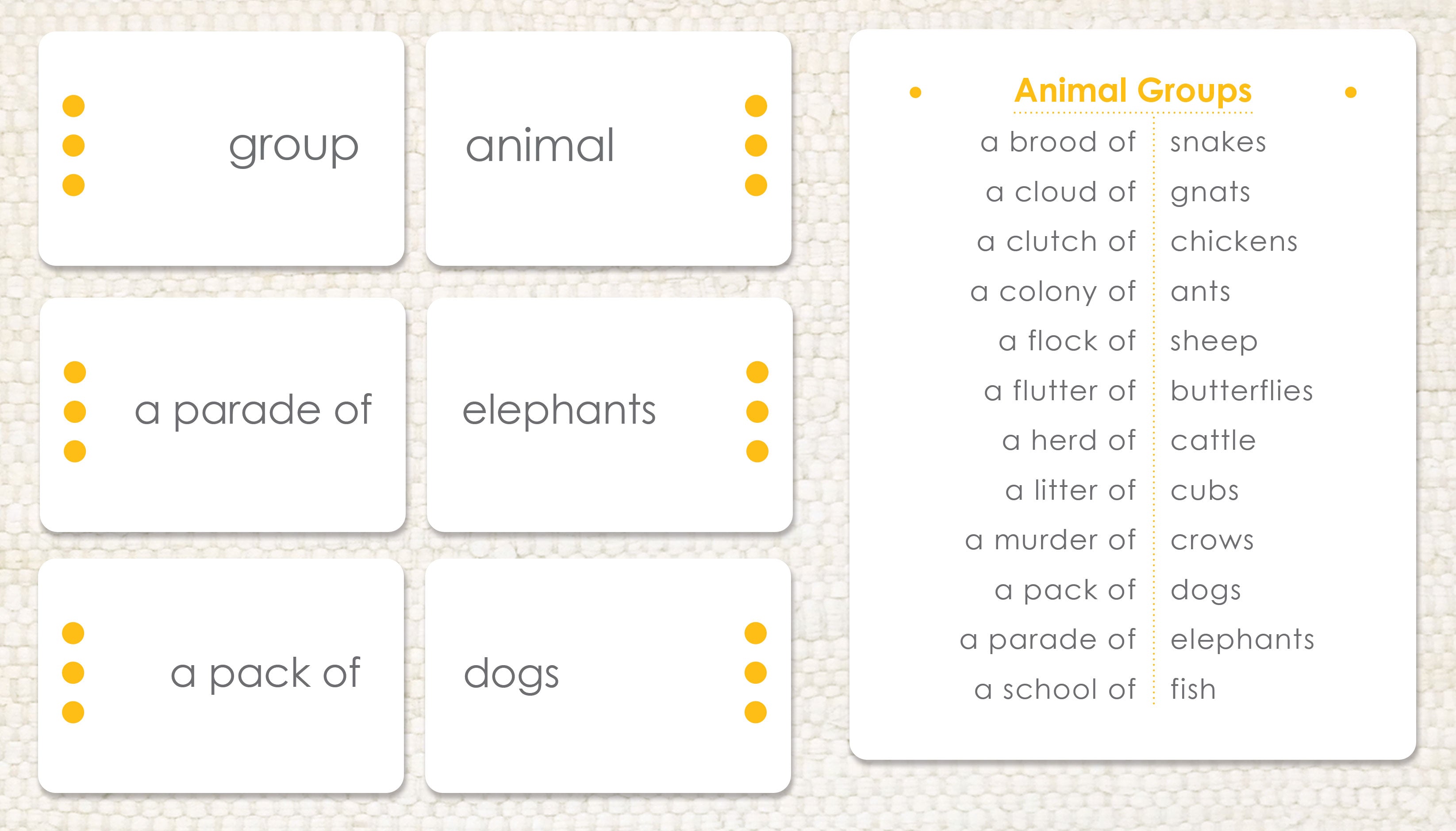 Animal Groups - Maitri Learning