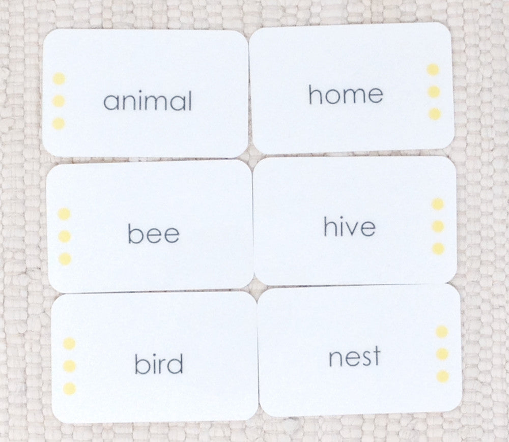 Imperfect Animal Homes: Word Study - Maitri Learning