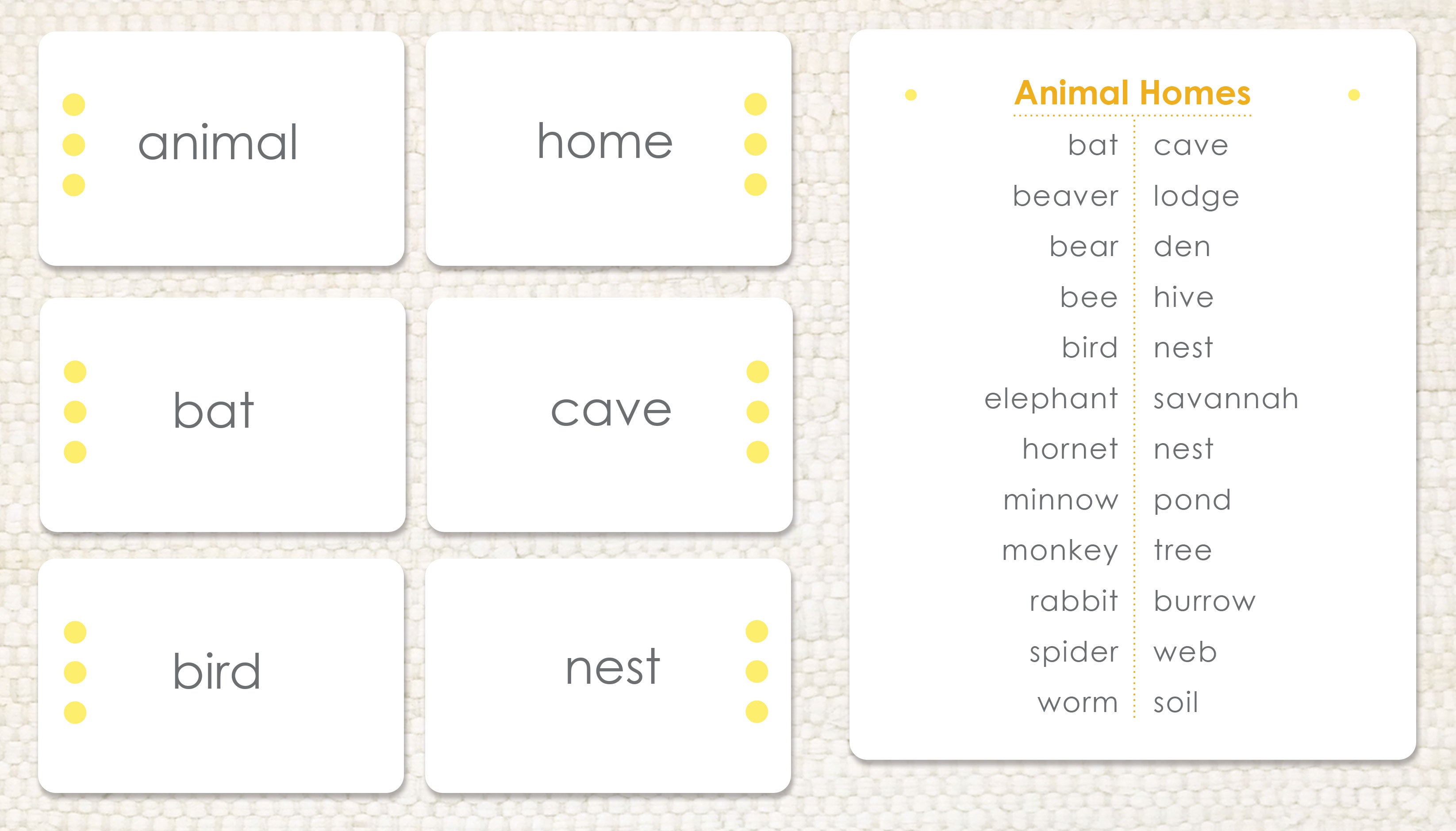 Animal Homes - Maitri Learning