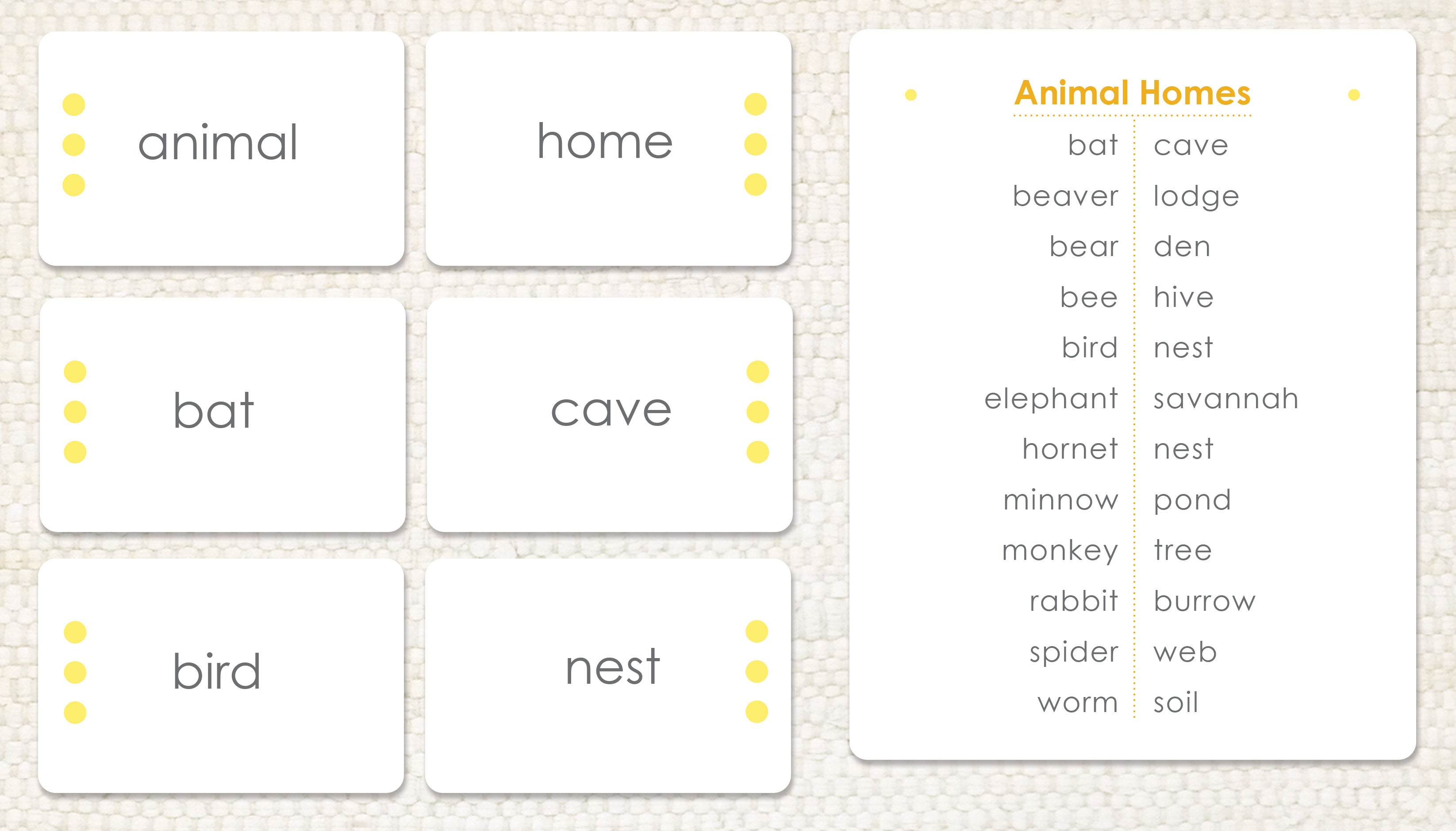 Imperfect Animal Homes: Word Study - Maitri Learning