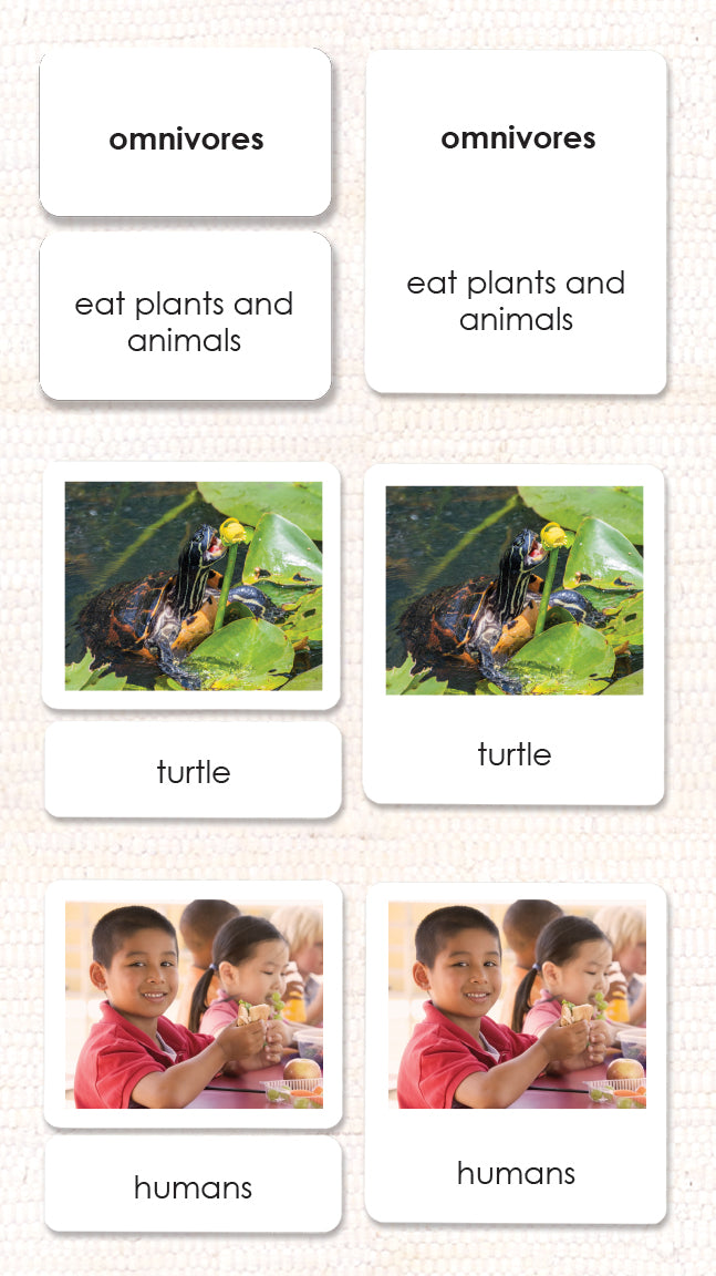 Carnivores, Herbivores & Omnivores